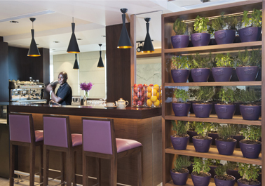 تور دبی هتل داماک میسون کانال ویو - آزانس مسافرای و هواپیمایی آفتاب ساحل آبی